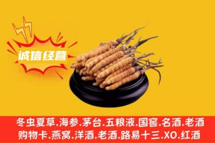齐齐哈尔回收冬虫夏草